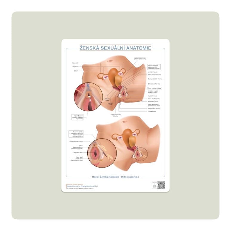 Female ejaculation and squirting anatomy, Czech edition product image 1