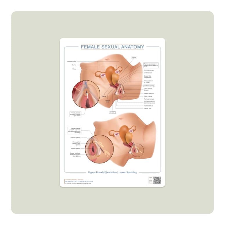 Female ejaculation and squirting anatomy product image 1