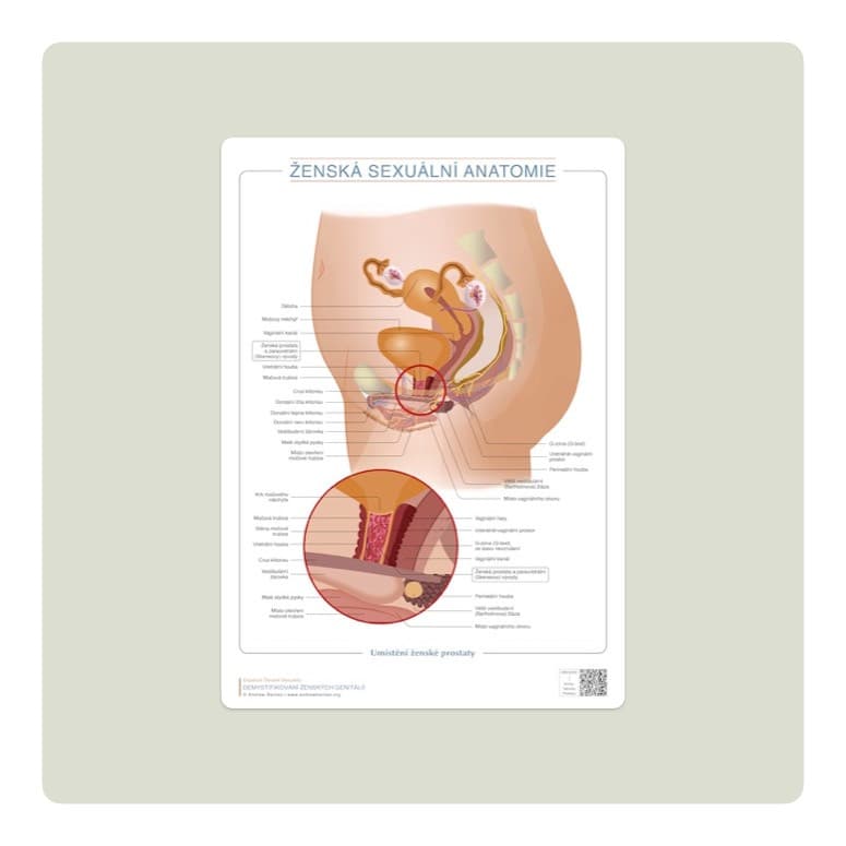 Location of the female prostate, Czech edition product image 1