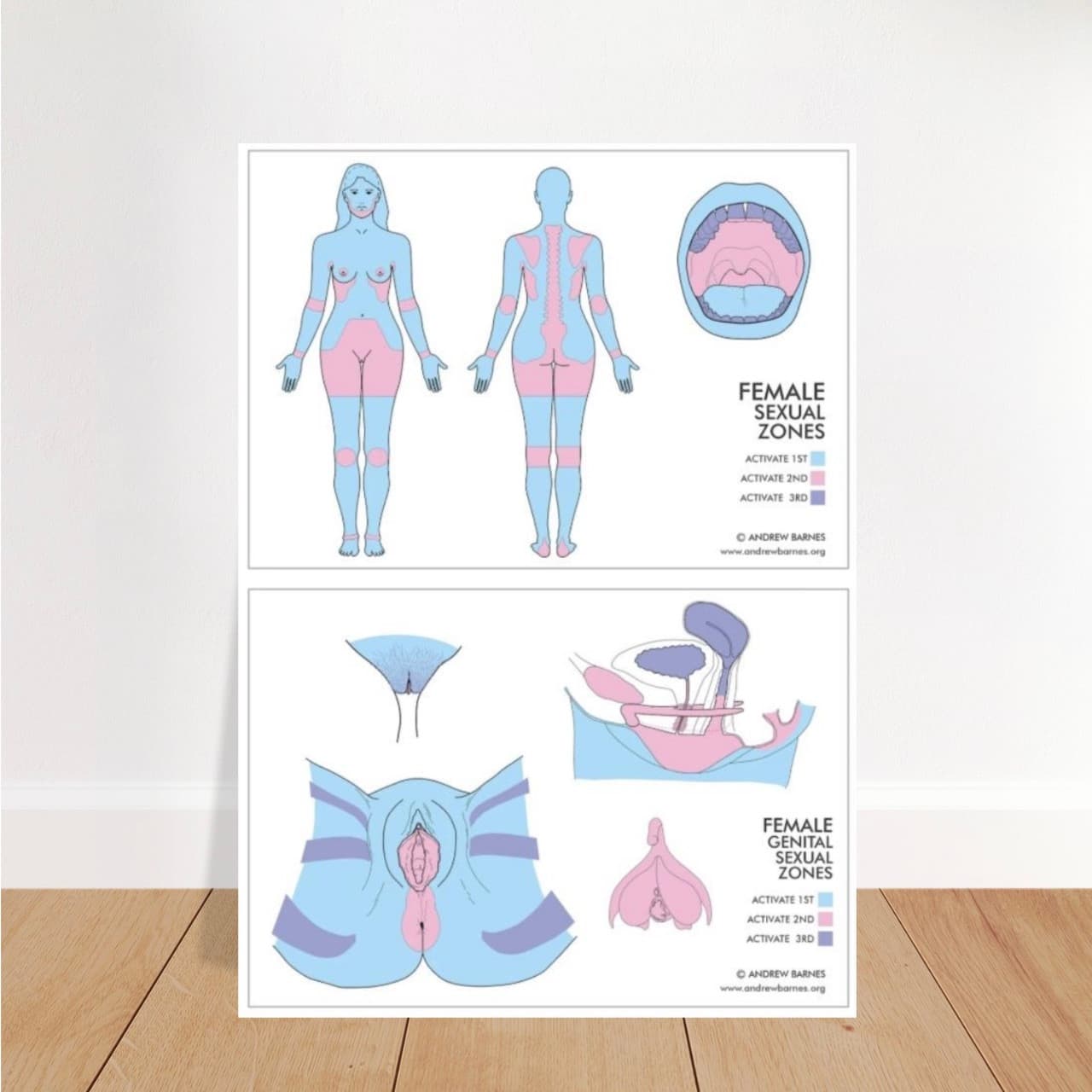 Female sexual energy zone map product image 1